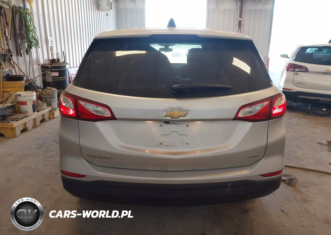 2019 Chevrolet Equinox Ls VIN:3GNAXSEV4KS561093 - 16