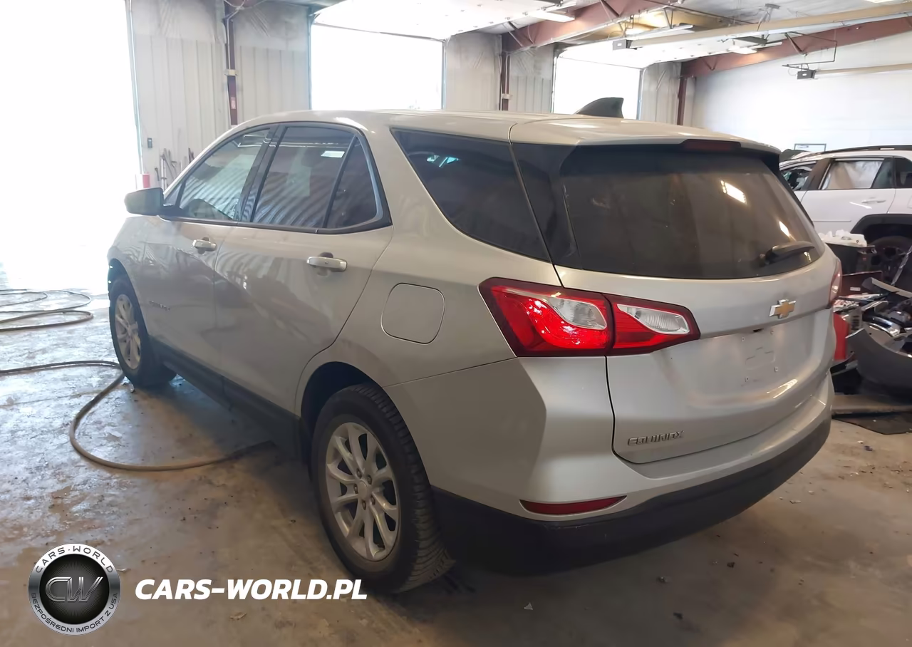 2019 Chevrolet Equinox Ls VIN:3GNAXSEV4KS561093 - 3