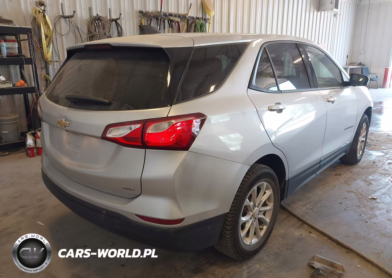2019 Chevrolet Equinox Ls VIN:3GNAXSEV4KS561093 - 4