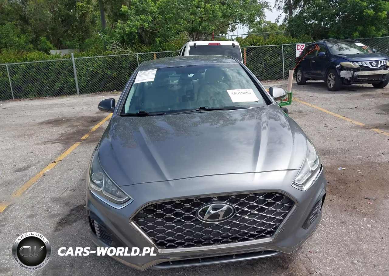 2019 Hyundai Sonata Sel VIN:5NPE34AF2KH769838 - 12
