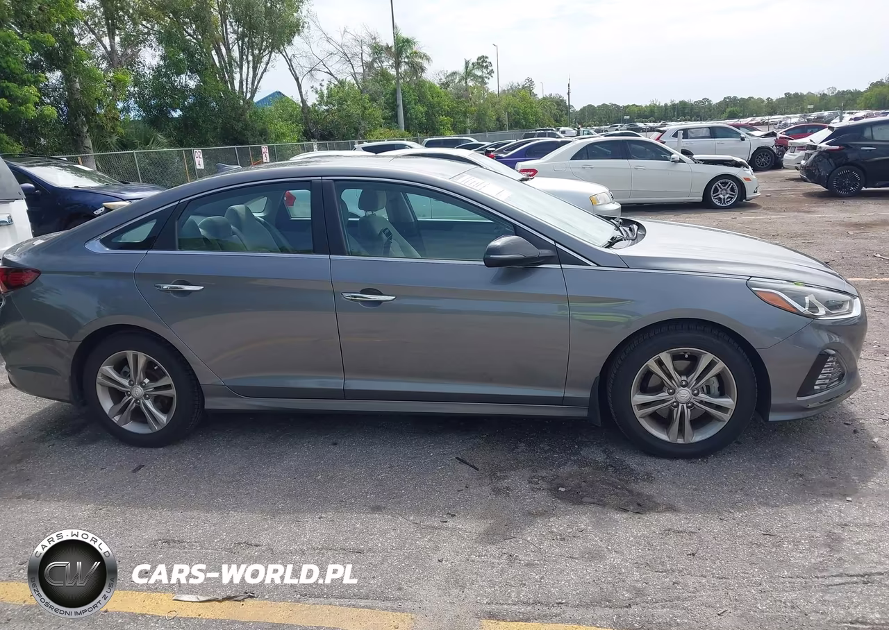 2019 Hyundai Sonata Sel VIN:5NPE34AF2KH769838 - 13