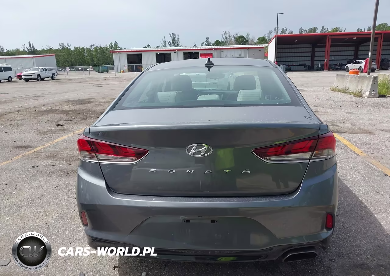 2019 Hyundai Sonata Sel VIN:5NPE34AF2KH769838 - 16