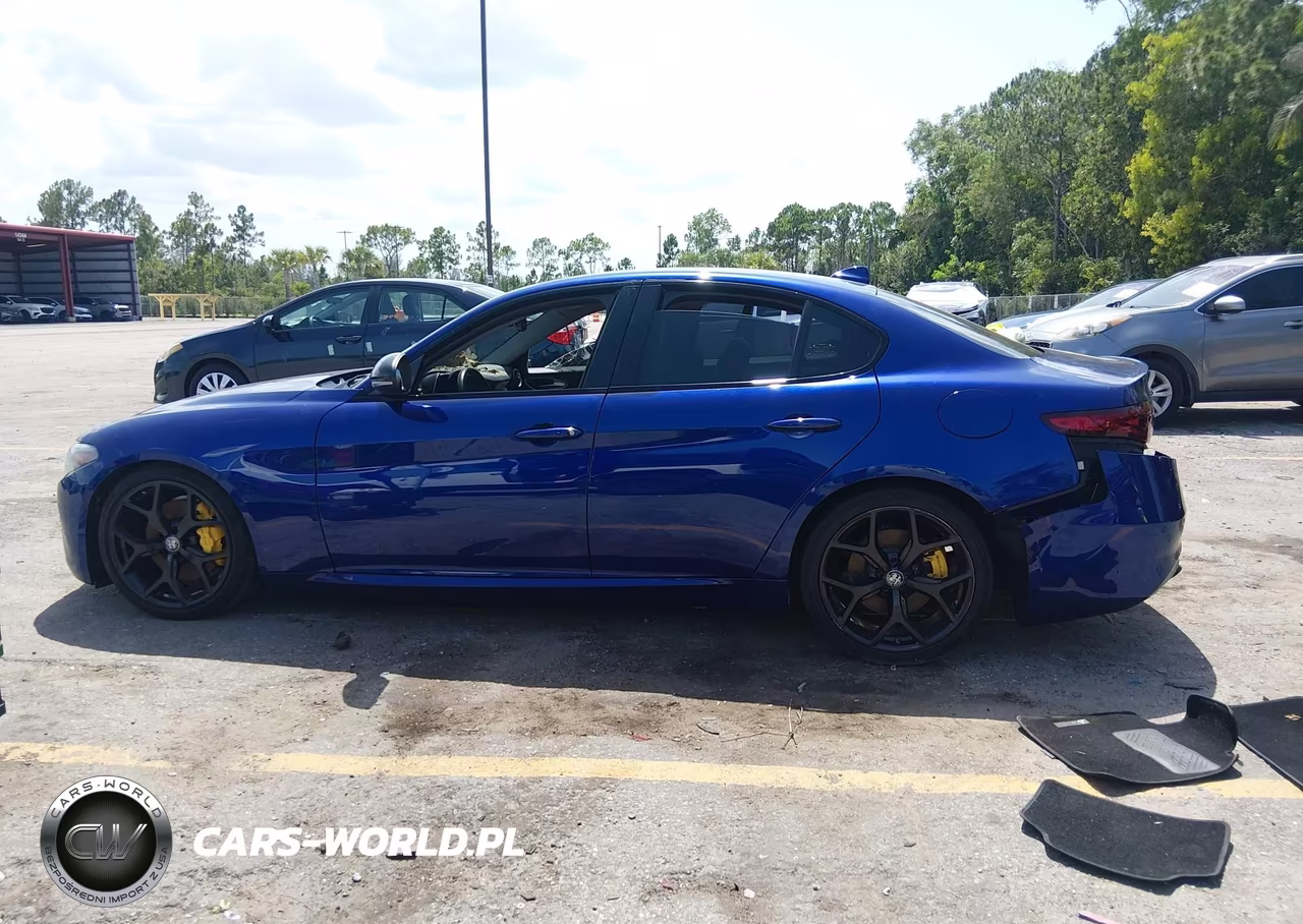 2020 Alfa Romeo Giulia Rwd VIN:ZARFAMAN7L7635047 - 13