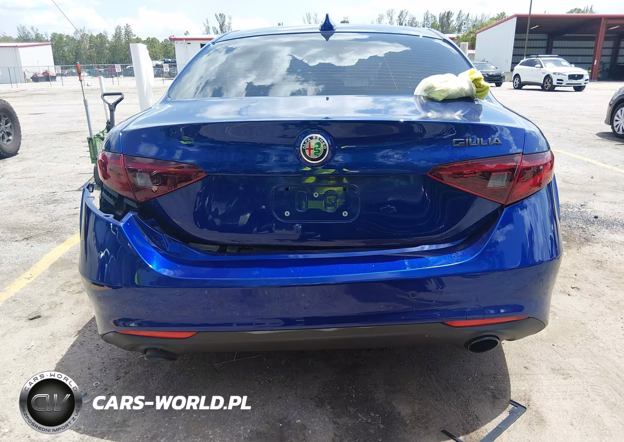 2020 Alfa Romeo Giulia Rwd VIN:ZARFAMAN7L7635047 - 15