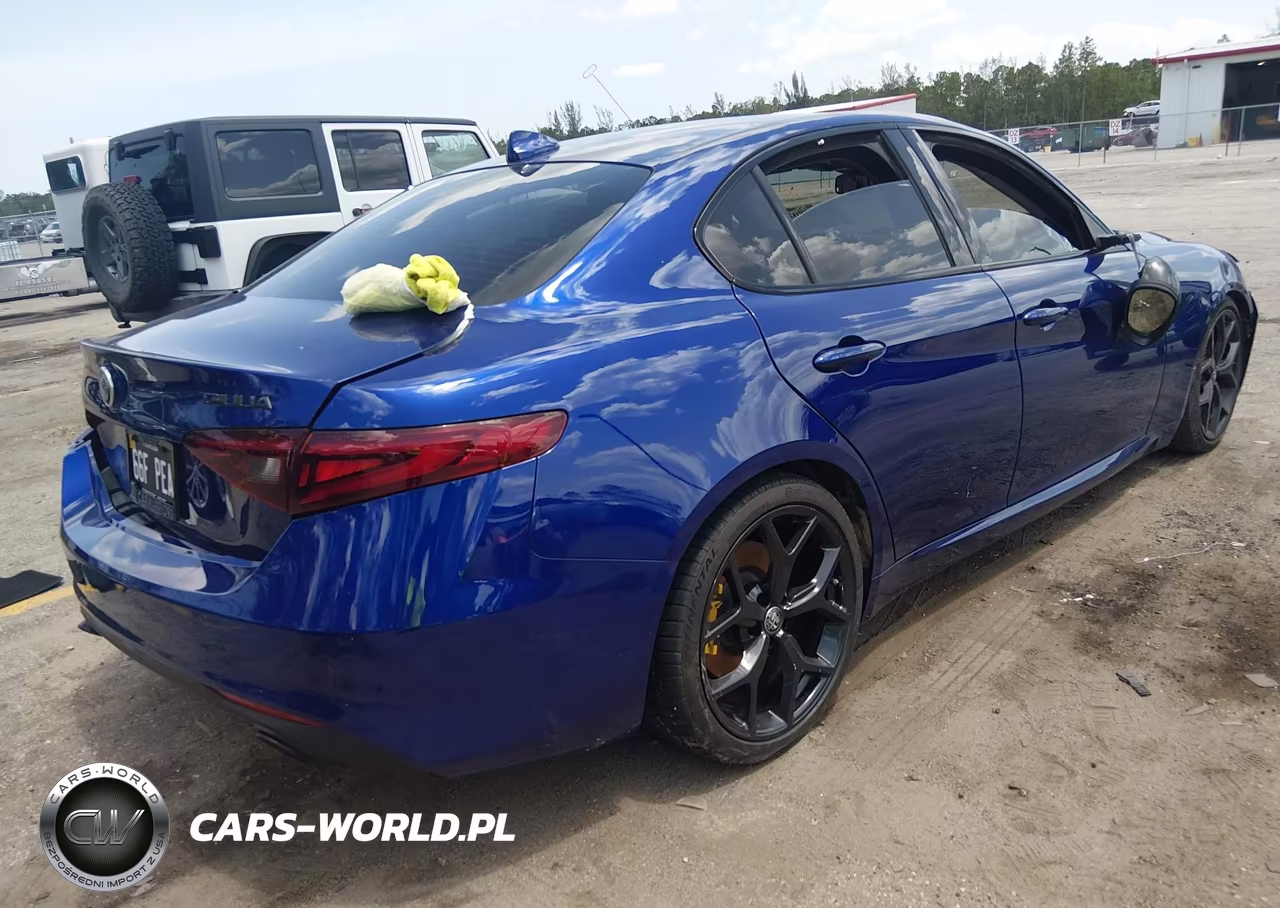 2020 Alfa Romeo Giulia Rwd VIN:ZARFAMAN7L7635047 - 4