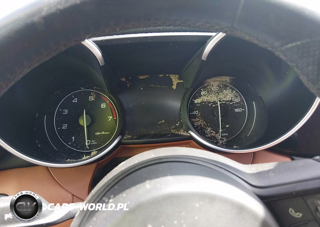2020 Alfa Romeo Giulia Rwd VIN:ZARFAMAN7L7635047 - 7