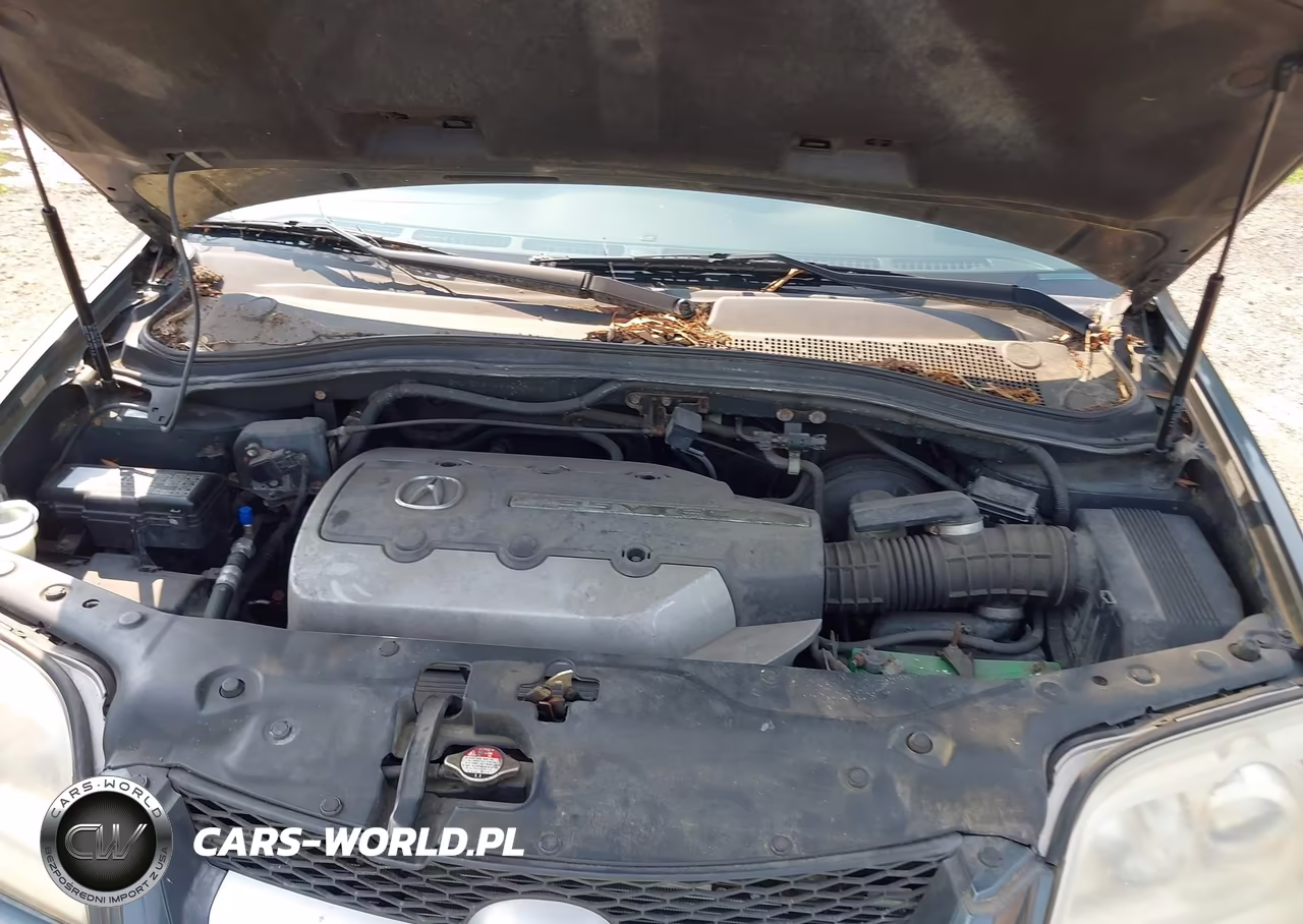2006 Acura Mdx VIN:2HNYD189X6H503906 - 10
