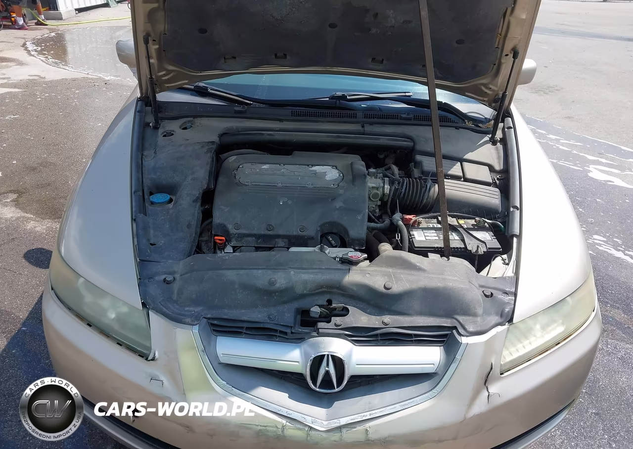 2004 Acura Tl VIN:19UUA662X4A003015 - 10