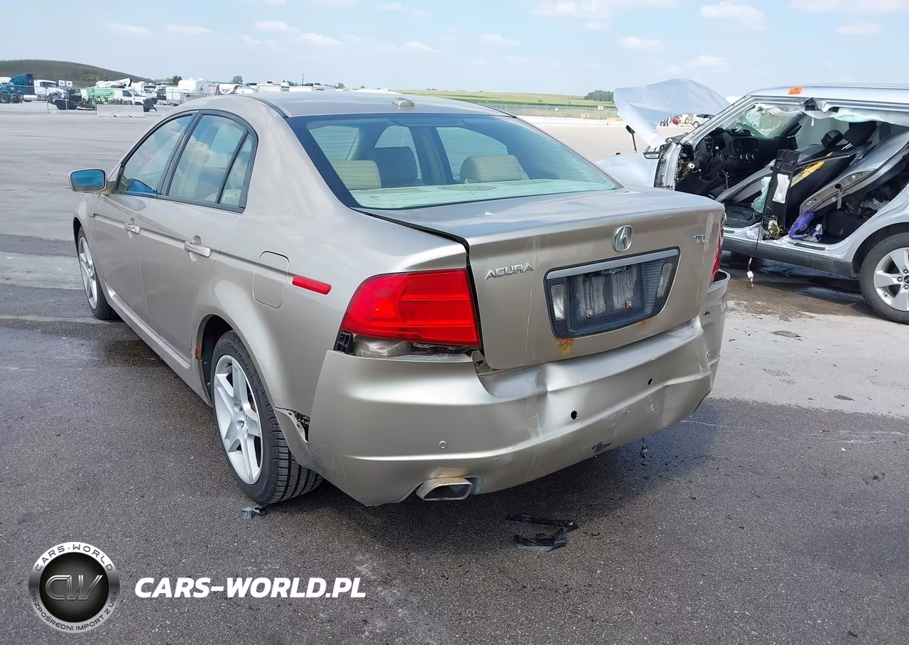 2004 Acura Tl VIN:19UUA662X4A003015 - 17