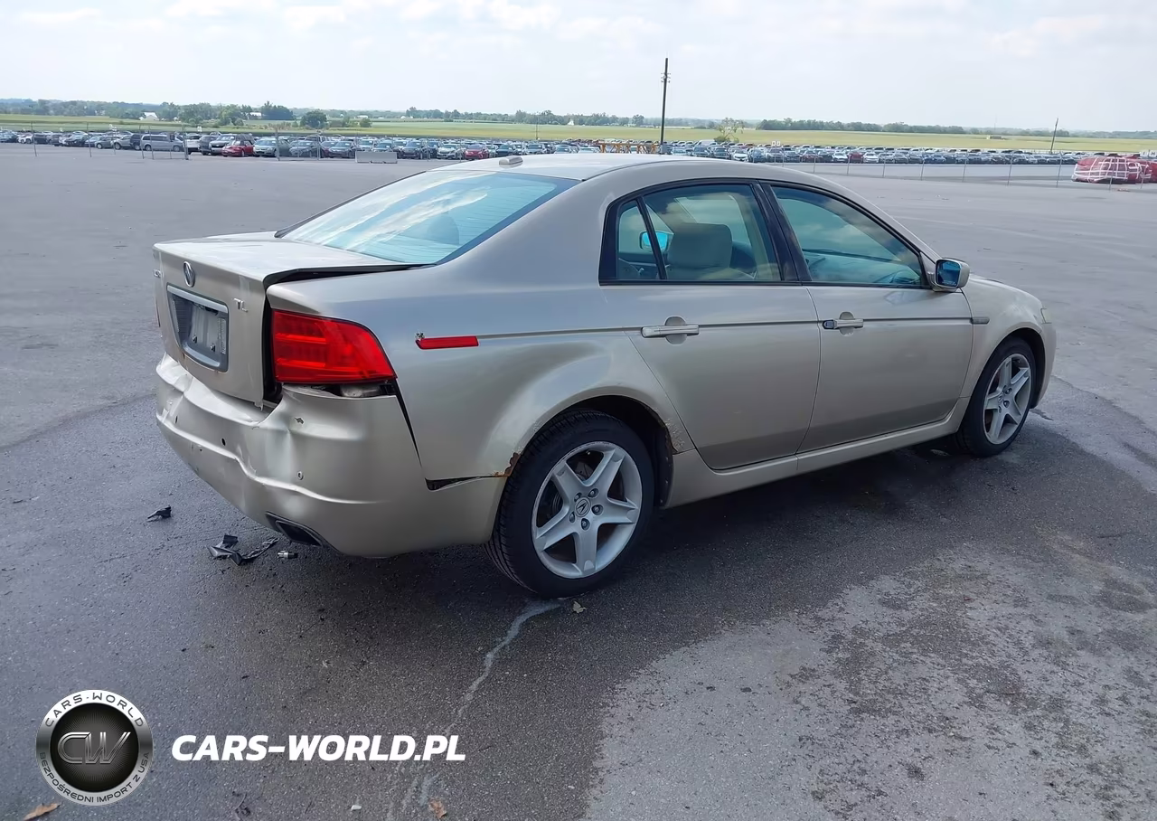 2004 Acura Tl VIN:19UUA662X4A003015 - 4