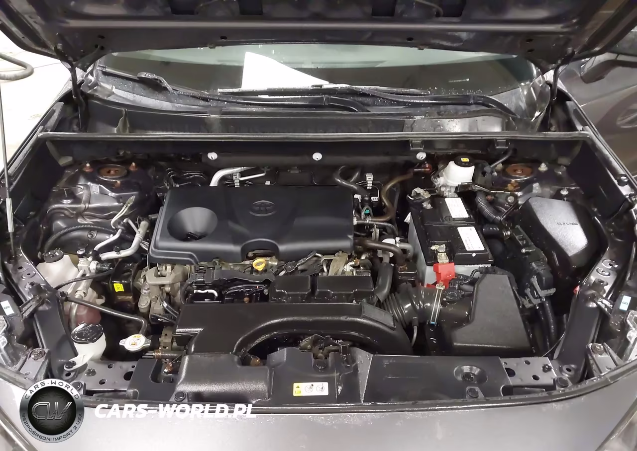 2019 Toyota Rav4 Le VIN:2T3F1RFV6KW051483 - 10