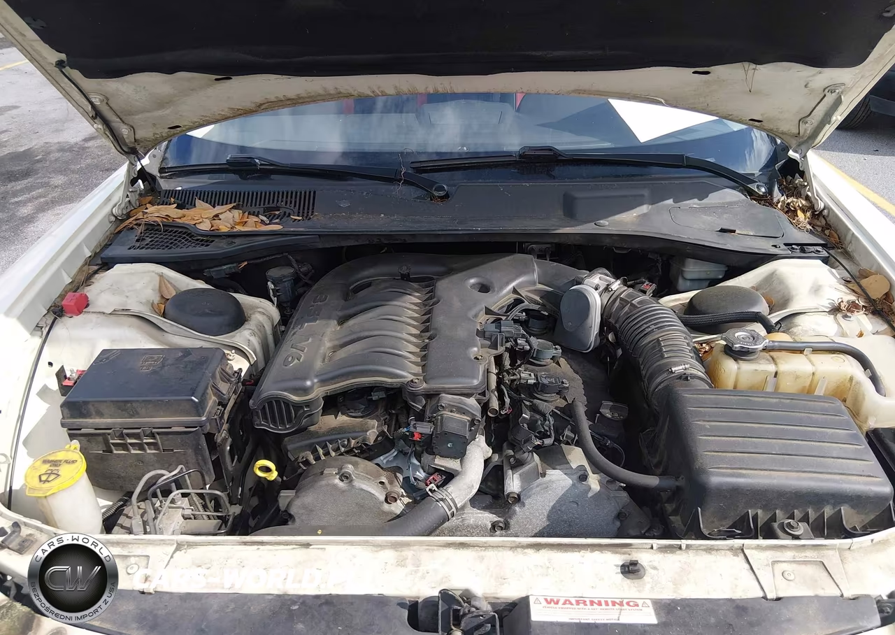 2010 Dodge Charger Rallye VIN:2B3CA9CV4AH303951 - 10