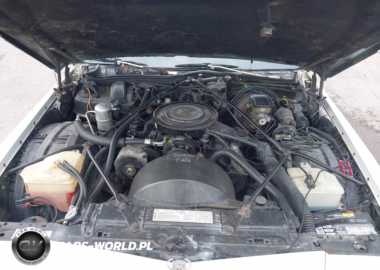 1984 Cadillac Fleetwood Brougham VIN:1G6AW6982E9023106 - 10