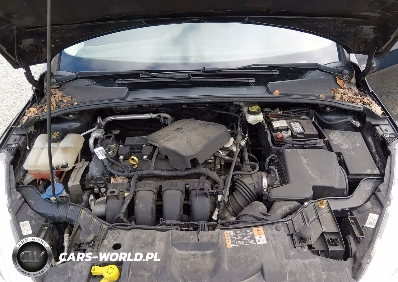 2017 Ford Focus Se VIN:1FADP3K2XHL298831 - 10