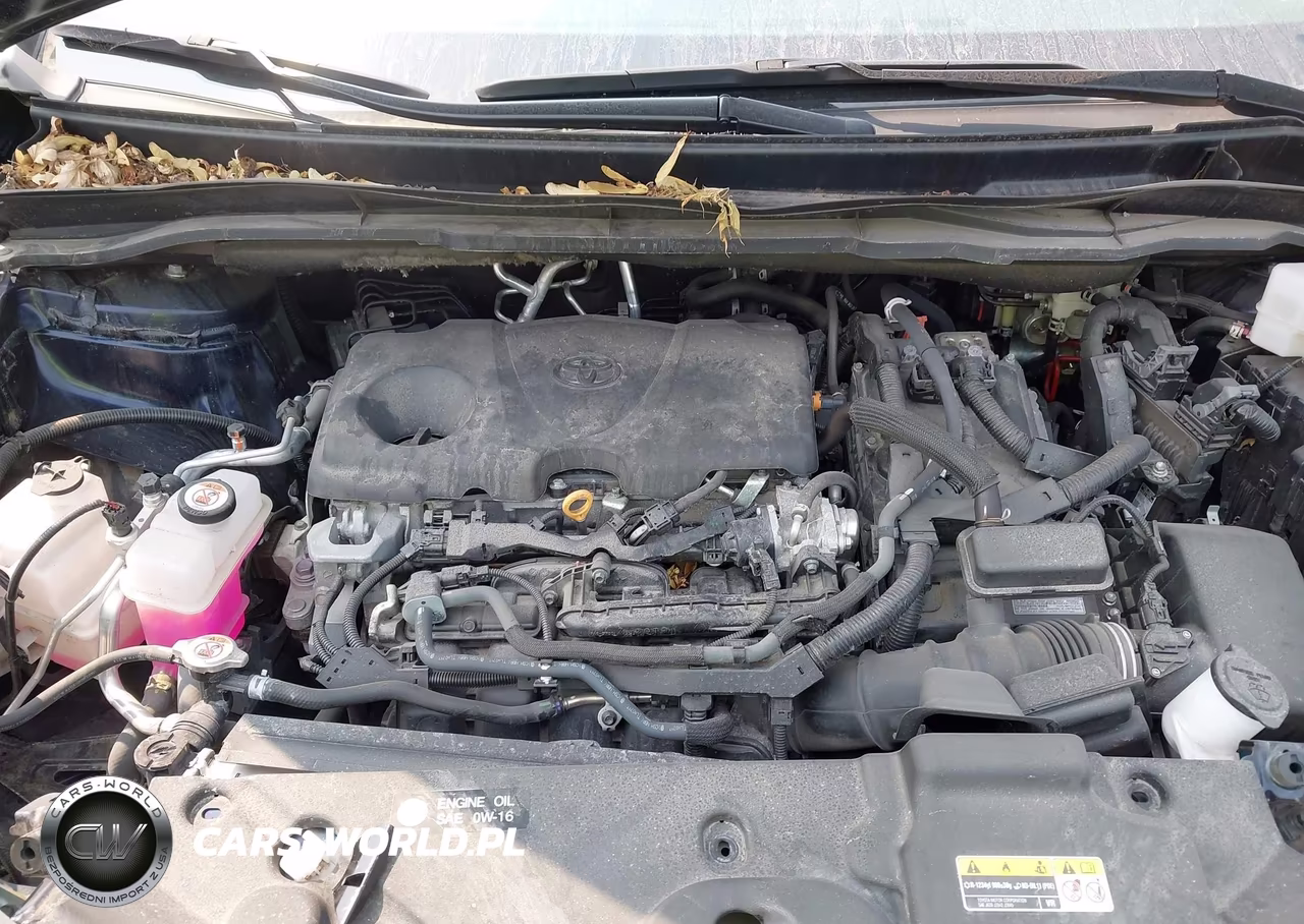2024 Toyota Sienna Le VIN:5TDKRKEC3RS190724 - 10