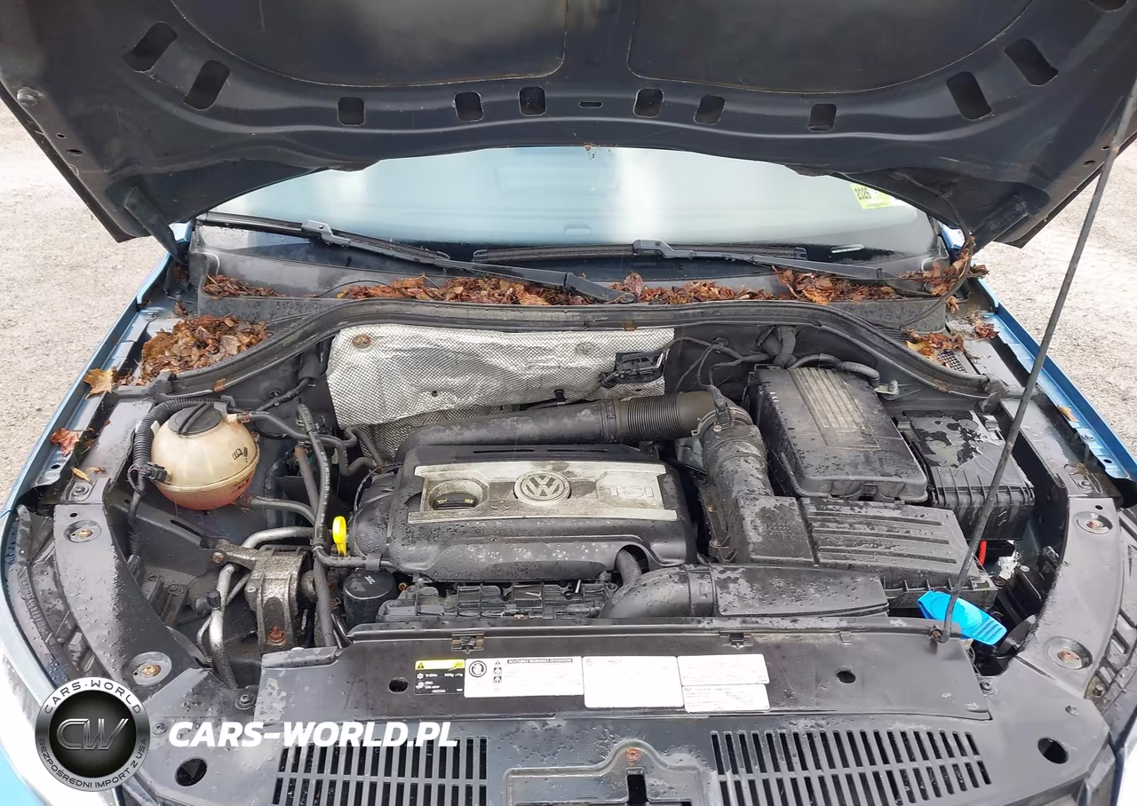 2017 Volkswagen Tiguan 2.0T-2.0T S VIN:WVGBV7AX1HK008084 - 10