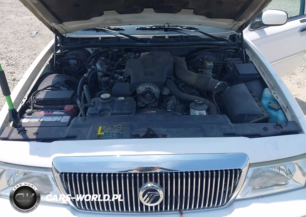 2003 Mercury Grand Marquis Ls VIN:2MEFM75W33X704475 - 10