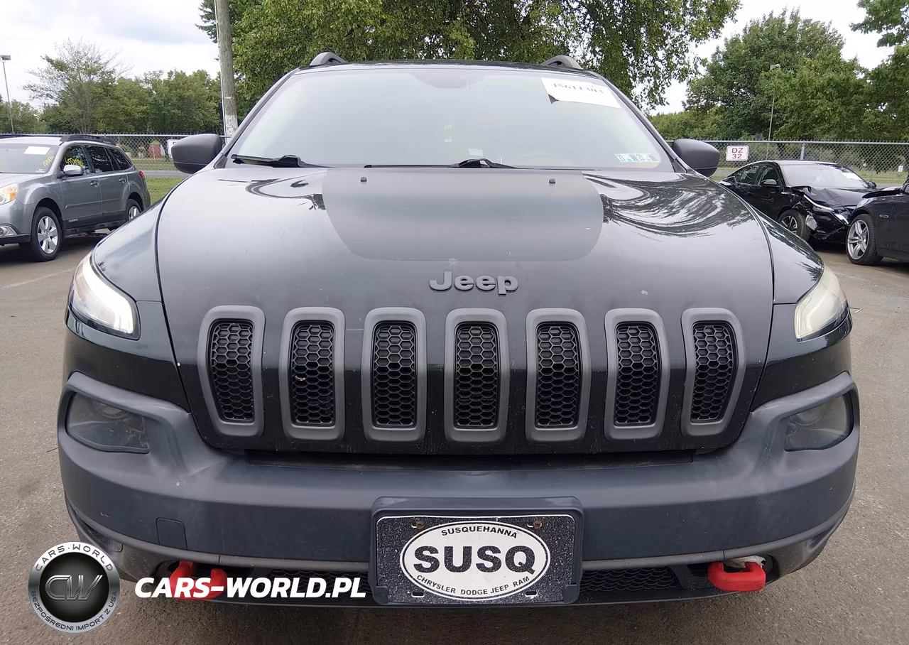 2016 Jeep Cherokee Trailhawk VIN:1C4PJMBS8GW101876 - 12
