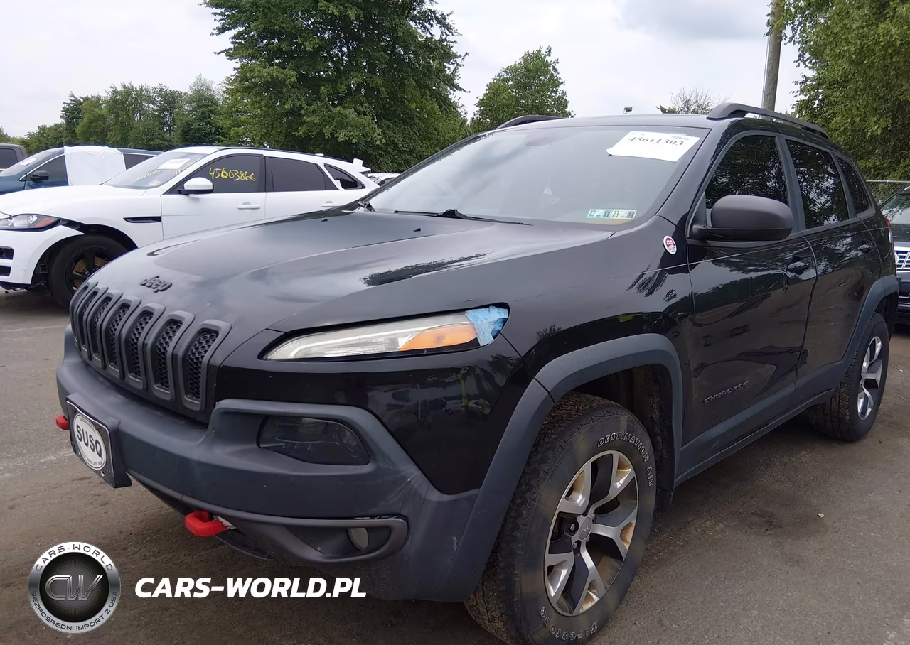 2016 Jeep Cherokee Trailhawk VIN:1C4PJMBS8GW101876 - 6