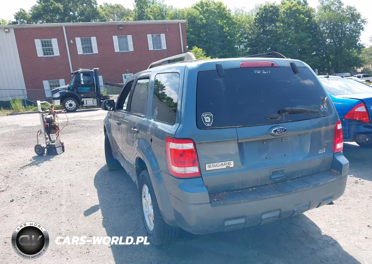 2011 Ford Escape Xlt VIN:1FMCU9D77BKB08406 - 3