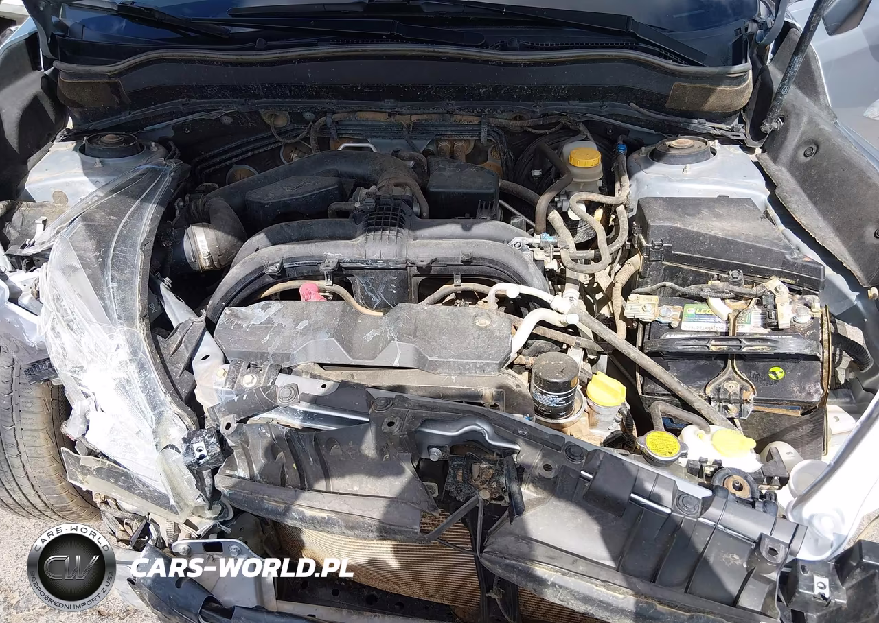 2017 Subaru Forester 2.5I VIN:JF2SJABC5HH487827 - 10