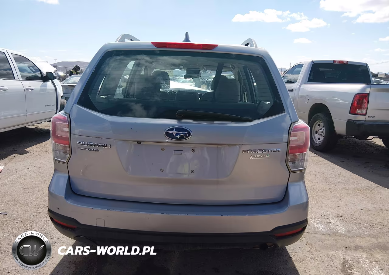 2017 Subaru Forester 2.5I VIN:JF2SJABC5HH487827 - 17