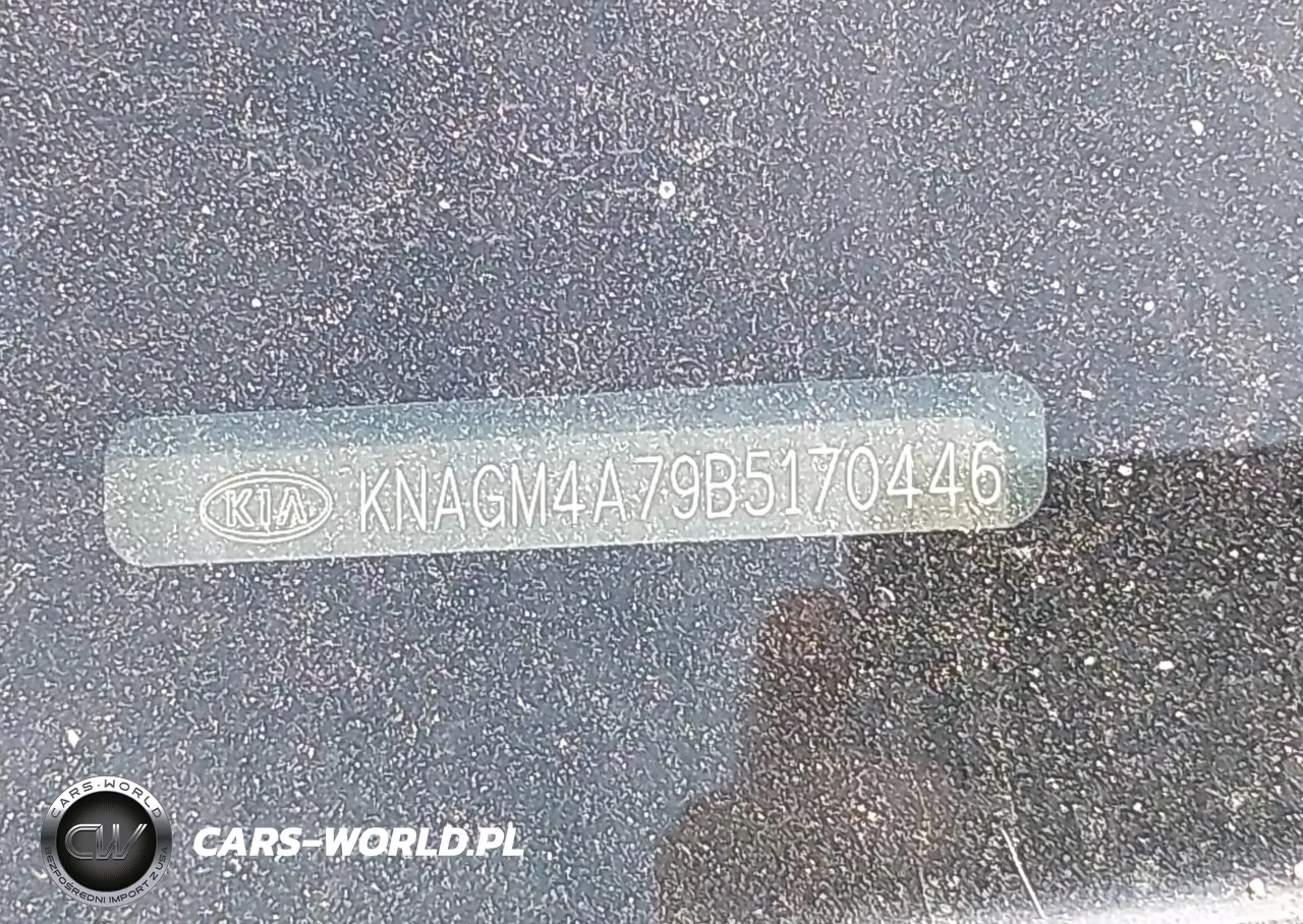 2011 Kia Optima Lx VIN:KNAGM4A79B5170446 - 9