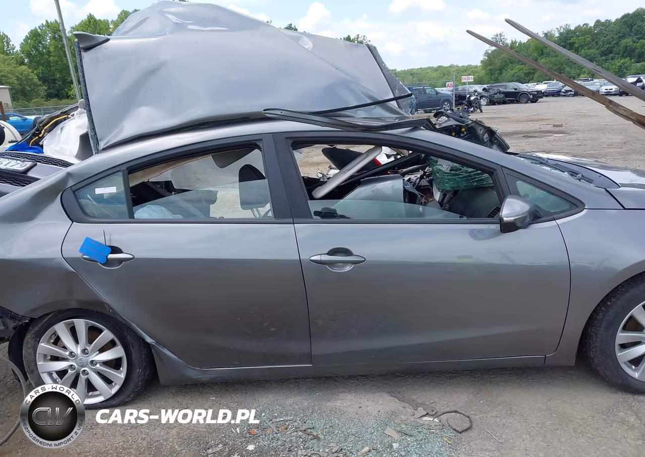 2016 Kia Forte Lx VIN:KNAFX4A68G5574209 - 13