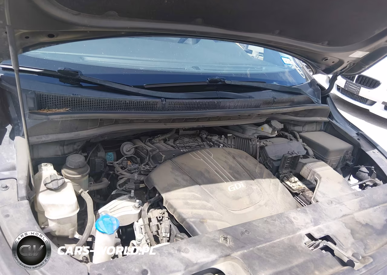 2016 Kia Sedona Lx VIN:KNDMB5C19G6086008 - 10