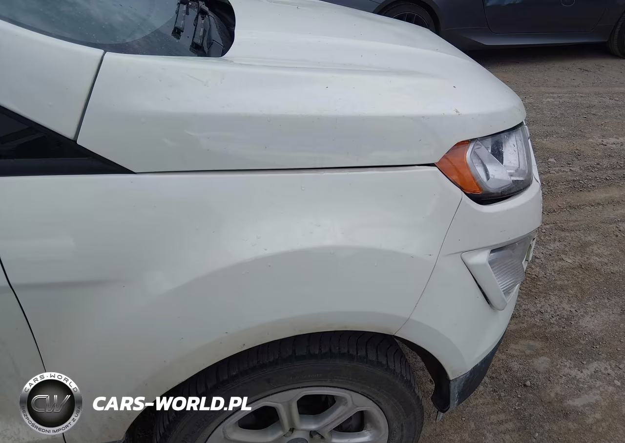 2021 Ford Ecosport Se VIN:MAJ6S3GL5MC427156 - 18