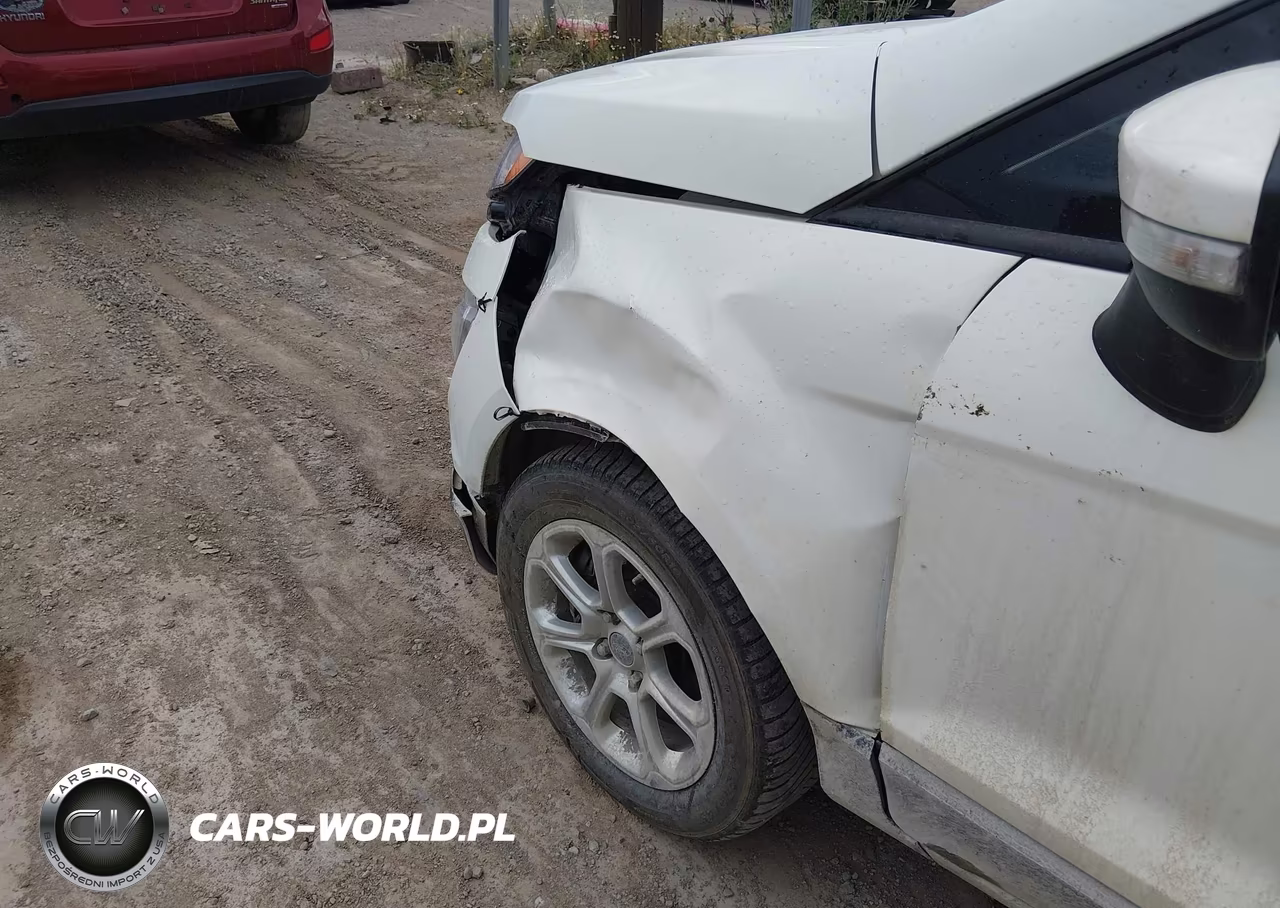 2021 Ford Ecosport Se VIN:MAJ6S3GL5MC427156 - 19