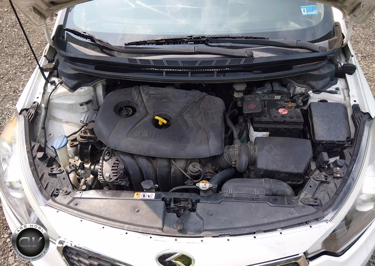 2014 Kia Forte Lx VIN:KNAFX4A66E5184495 - 10