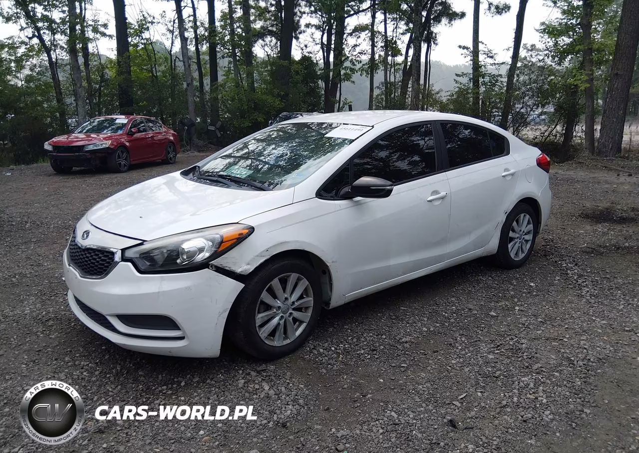 2014 Kia Forte Lx VIN:KNAFX4A66E5184495 - 2