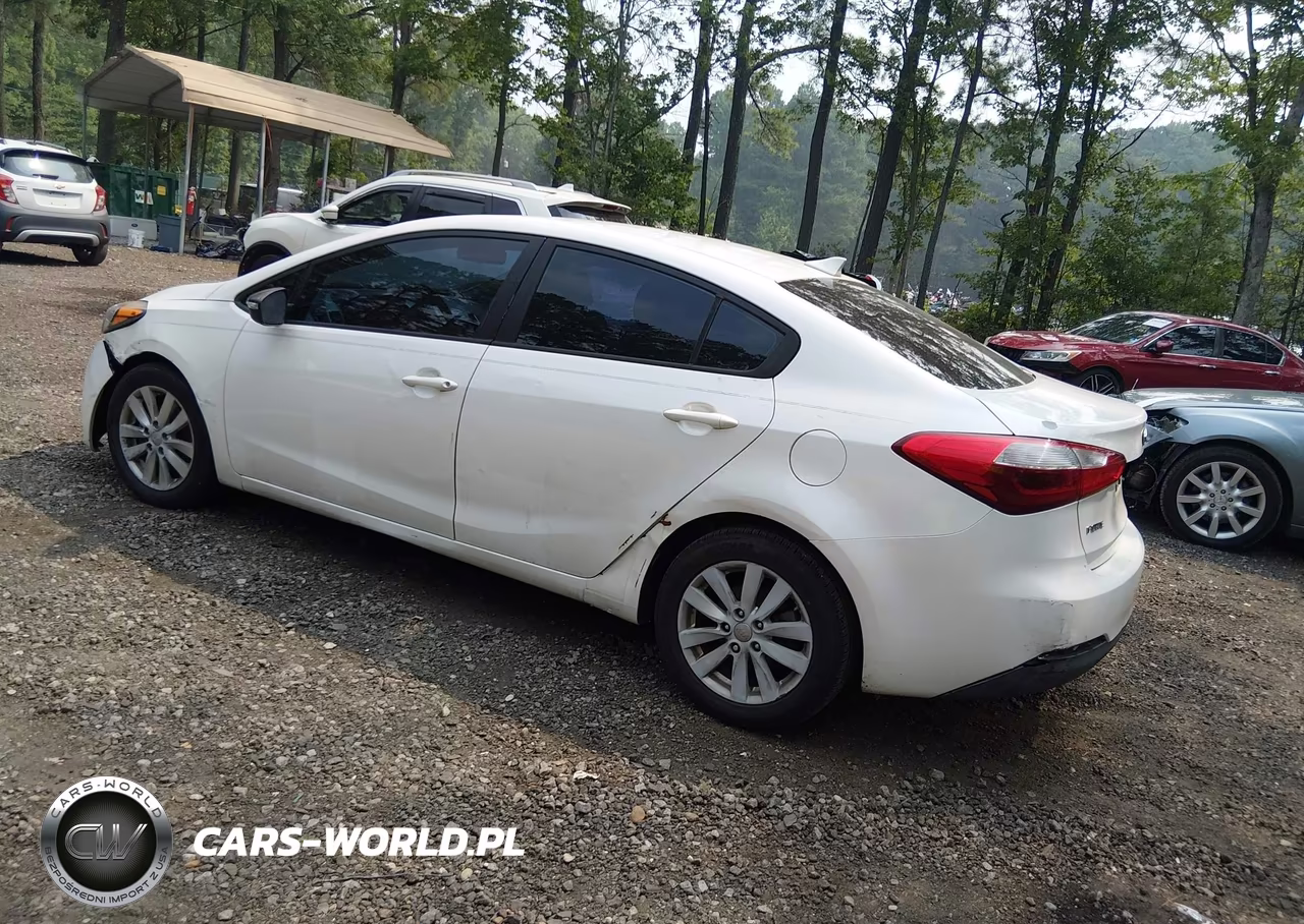 2014 Kia Forte Lx VIN:KNAFX4A66E5184495 - 3
