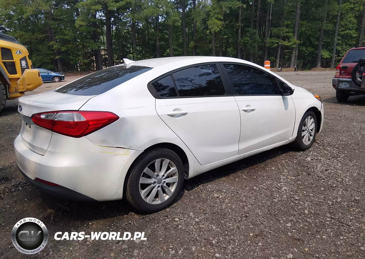 2014 Kia Forte Lx VIN:KNAFX4A66E5184495 - 4