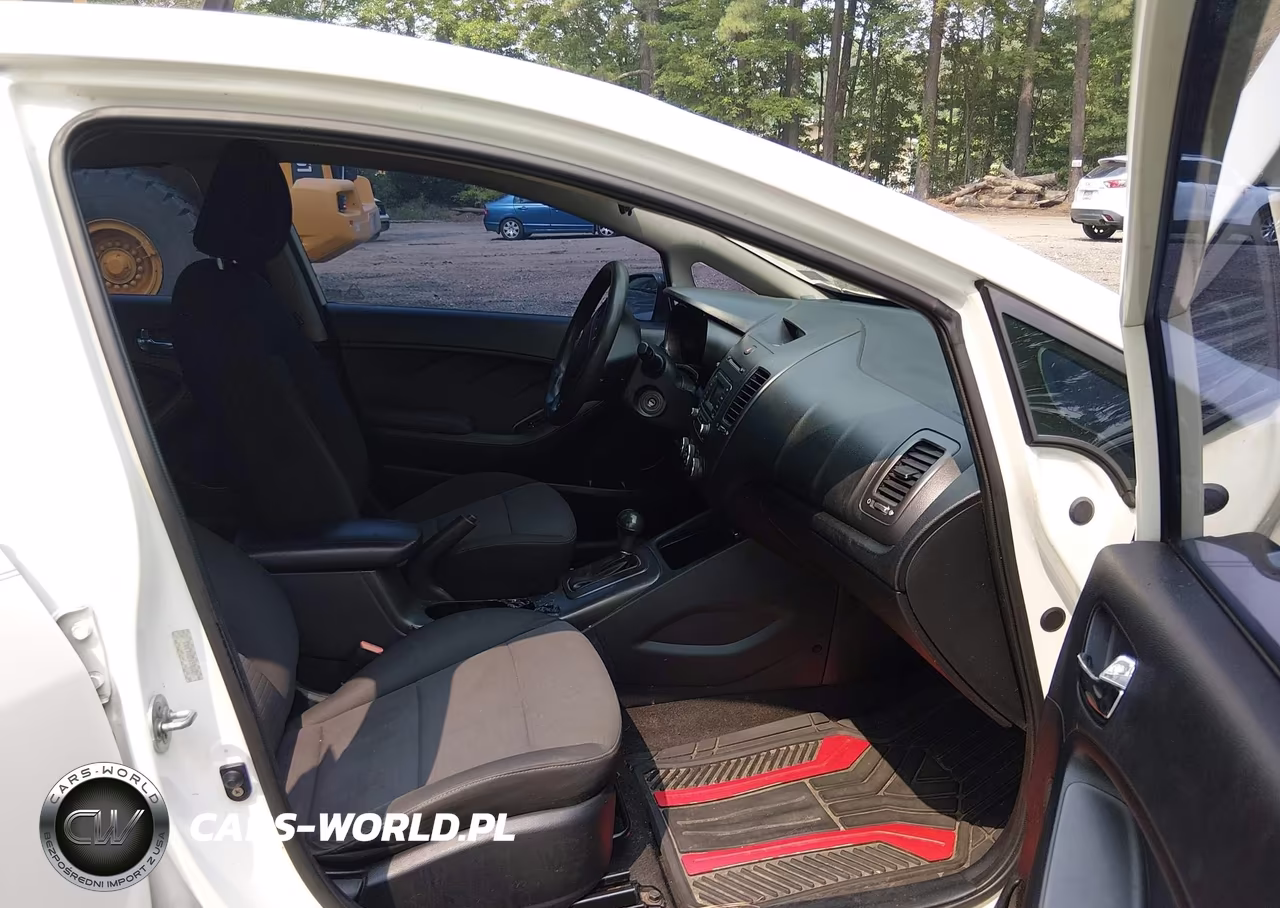 2014 Kia Forte Lx VIN:KNAFX4A66E5184495 - 5