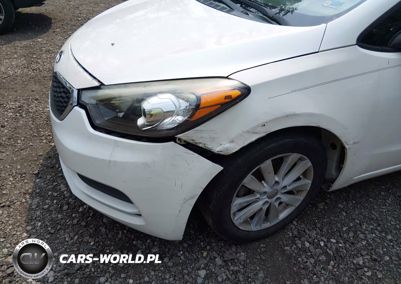 2014 Kia Forte Lx VIN:KNAFX4A66E5184495 - 6