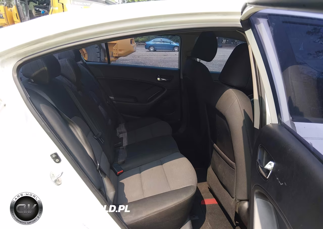 2014 Kia Forte Lx VIN:KNAFX4A66E5184495 - 8