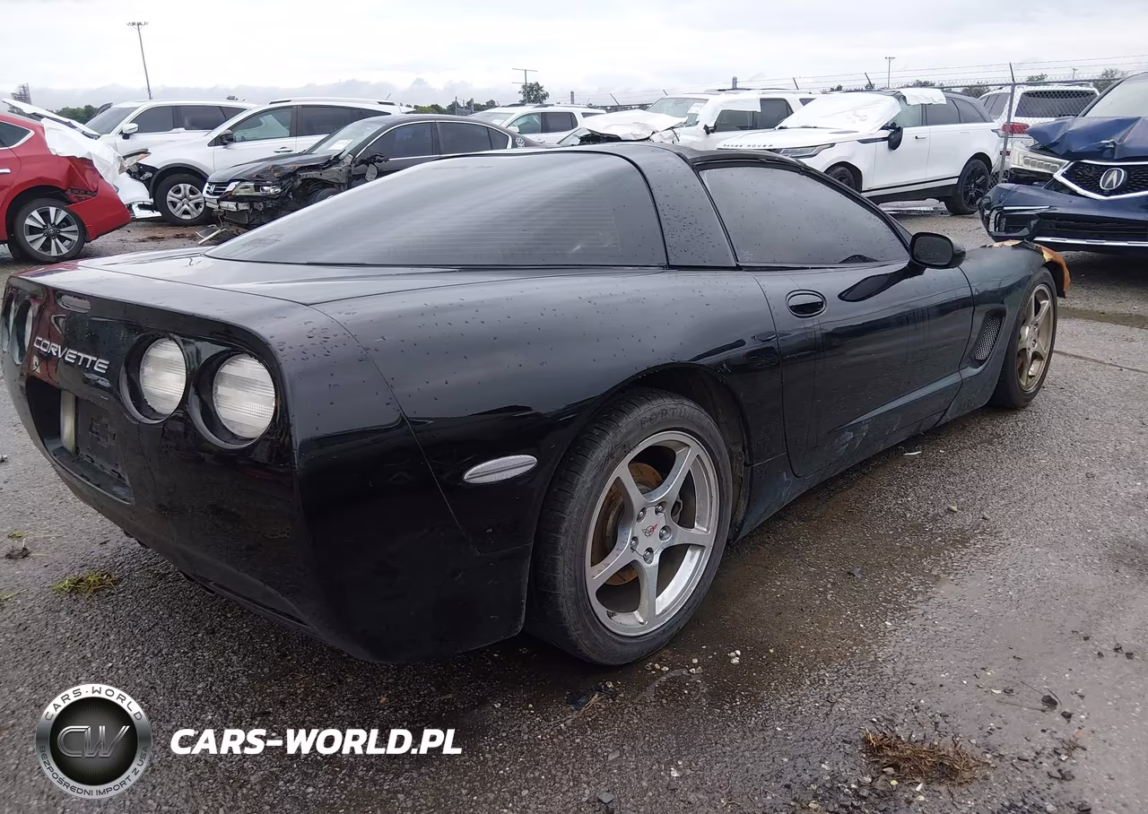 2004 Chevrolet Corvette VIN:1G1YY22G045107682 - 4