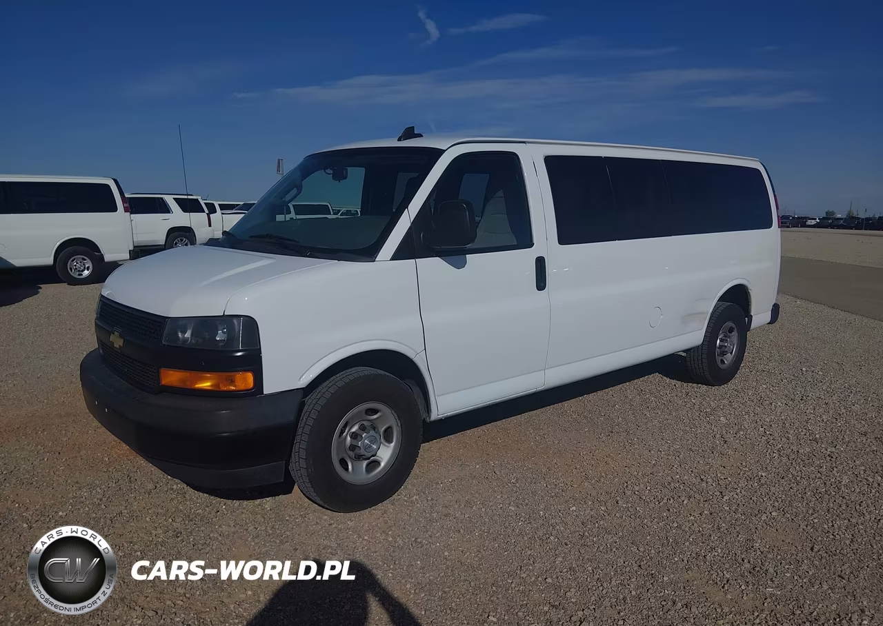 2020 Chevrolet Express Passenger Rwd 3500 Extended Wheelbase Ls VIN:1GAZGNFG4L1116894 - 2