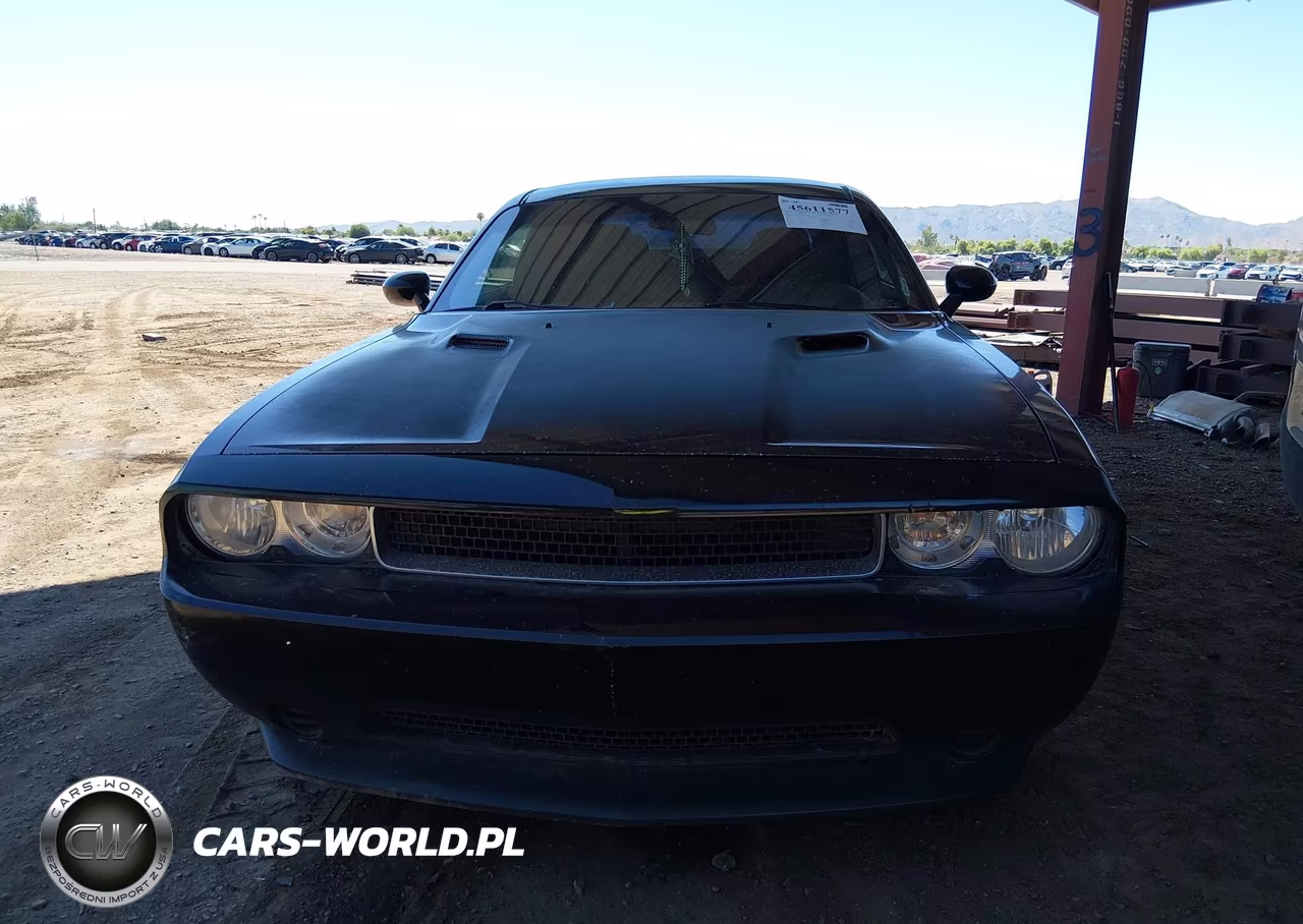2014 Dodge Challenger Sxt VIN:2C3CDYAG6EH314044 - 12