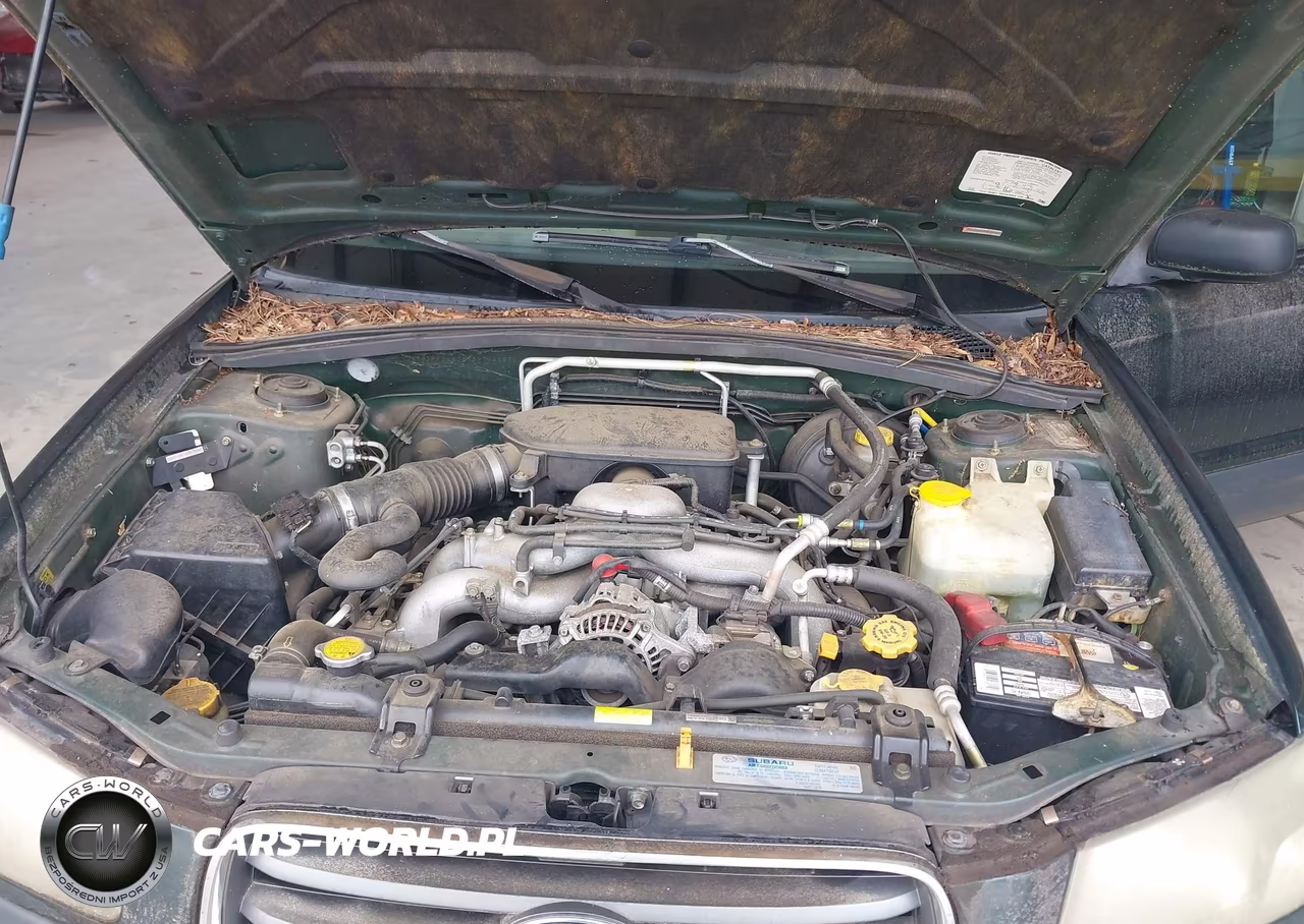 2005 Subaru Forester 2.5X VIN:JF1SG63695H714599 - 10