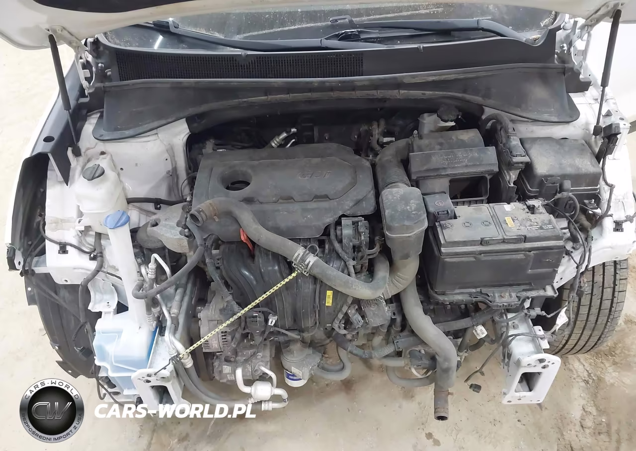 2019 Kia Sorento 2.4L Lx VIN:5XYPGDA3XKG439164 - 10