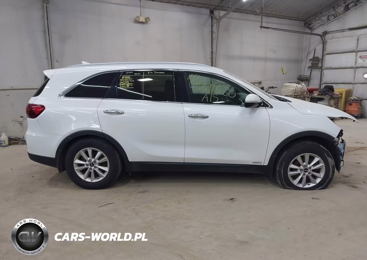 2019 Kia Sorento 2.4L Lx VIN:5XYPGDA3XKG439164 - 13