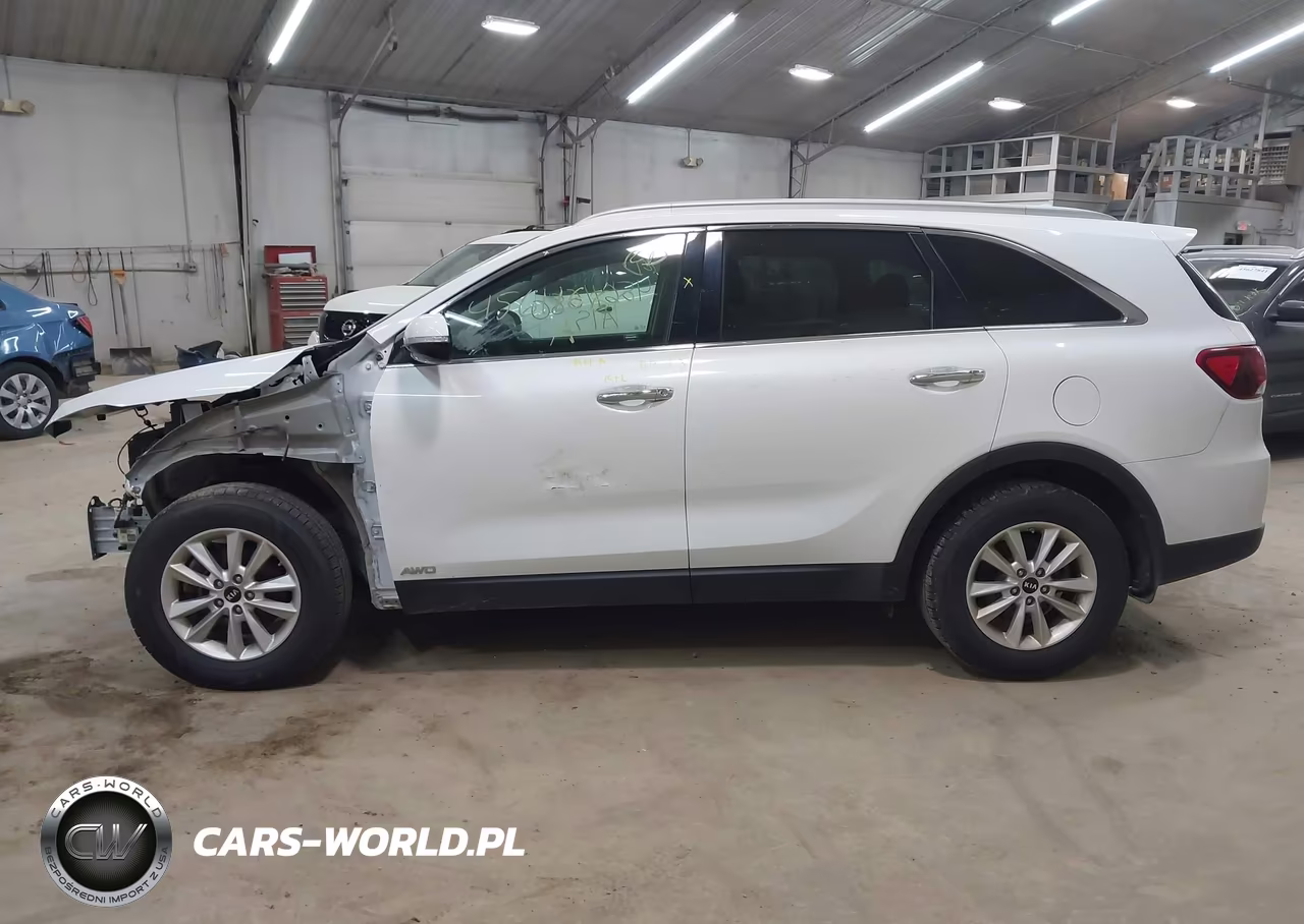 2019 Kia Sorento 2.4L Lx VIN:5XYPGDA3XKG439164 - 14