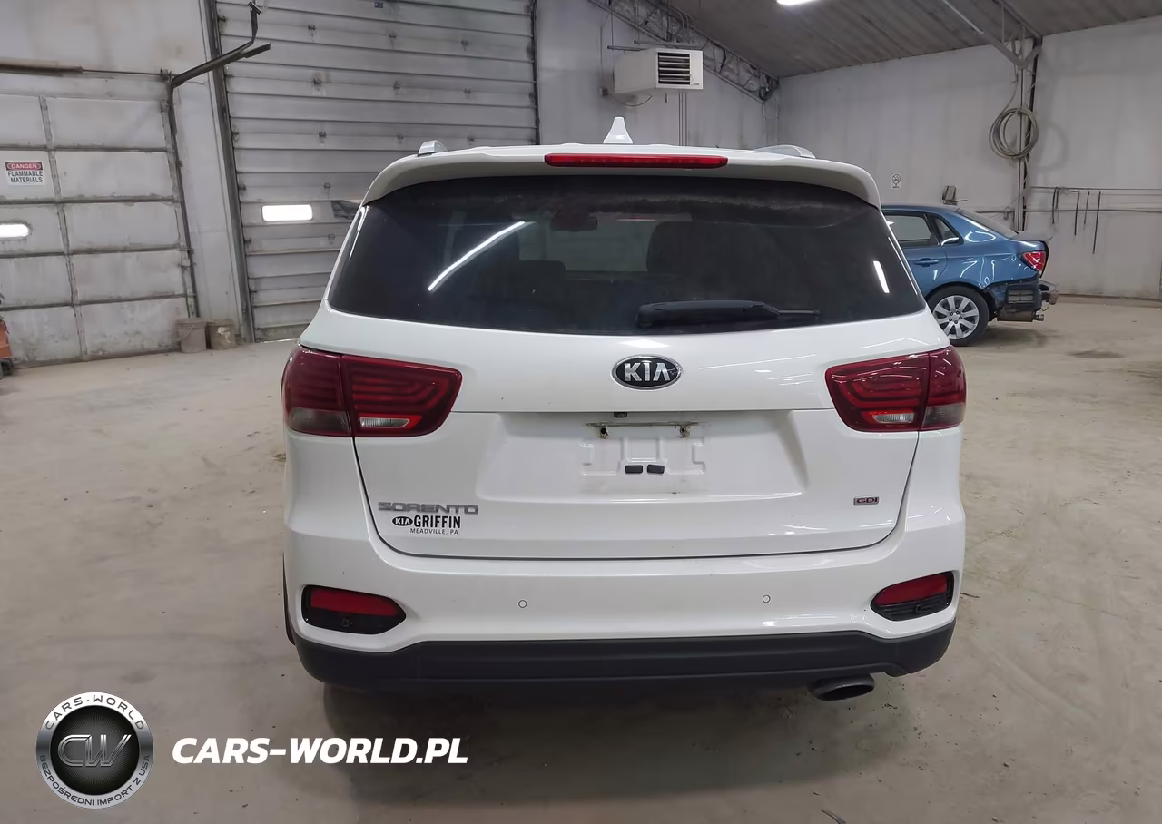 2019 Kia Sorento 2.4L Lx VIN:5XYPGDA3XKG439164 - 16