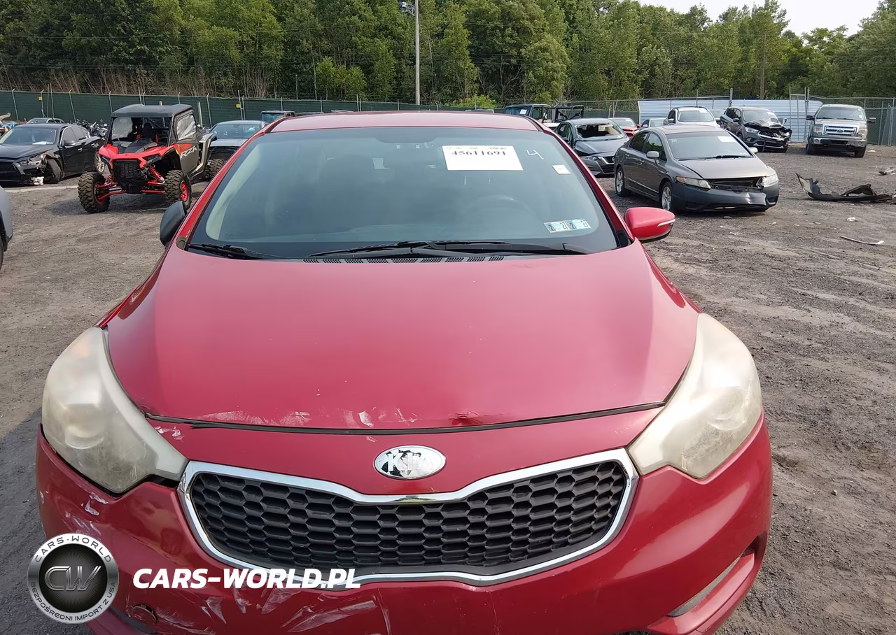 2014 Kia Forte Lx VIN:KNAFX4A69E5146405 - 12