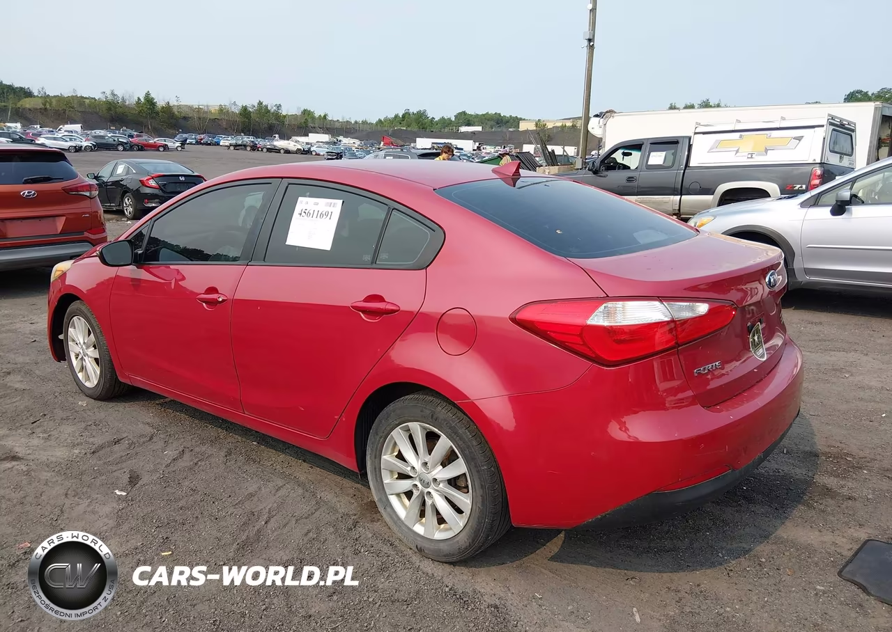 2014 Kia Forte Lx VIN:KNAFX4A69E5146405 - 3
