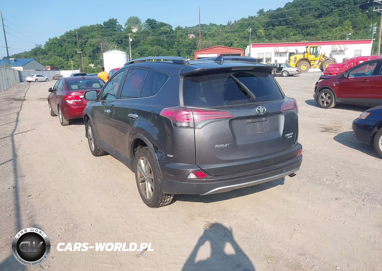 2017 Toyota Rav4 Limited VIN:2T3DFREV3HW600222 - 3