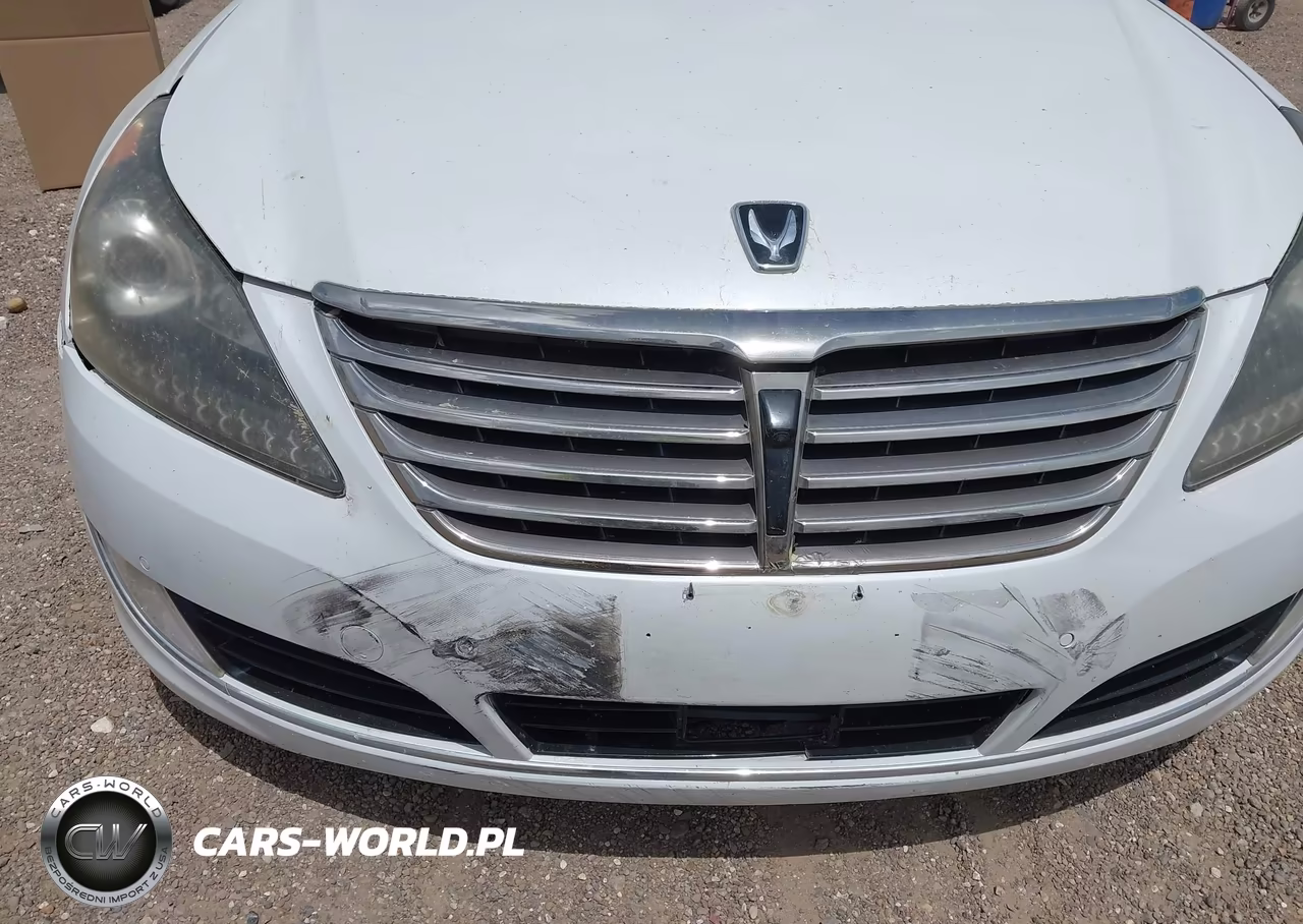 2014 Hyundai Equus Ultimate VIN:KMHGH4JH8EU074085 - 6